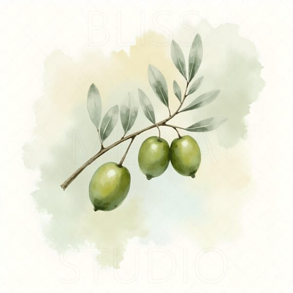 15 Olive Branch Botanical Prints – Chateaucore Wall Art Set (Digital Download) - Image 14