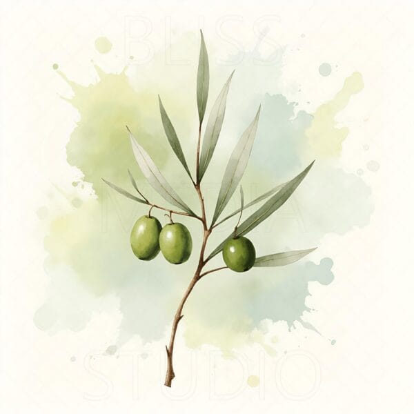 15 Olive Branch Botanical Prints – Chateaucore Wall Art Set (Digital Download) - Image 15