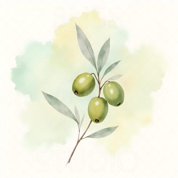 15 Olive Branch Botanical Prints – Chateaucore Wall Art Set (Digital Download) - Image 16