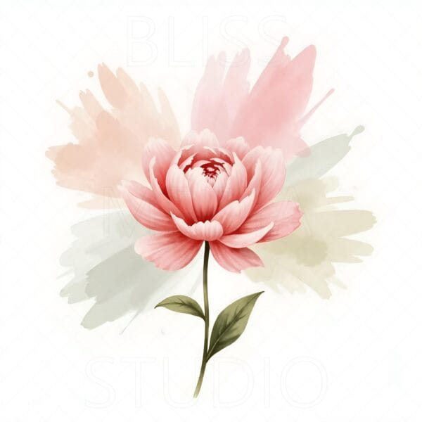15 Peony Botanical Prints – Chateaucore Wall Art Set (Digital Download) - Image 13