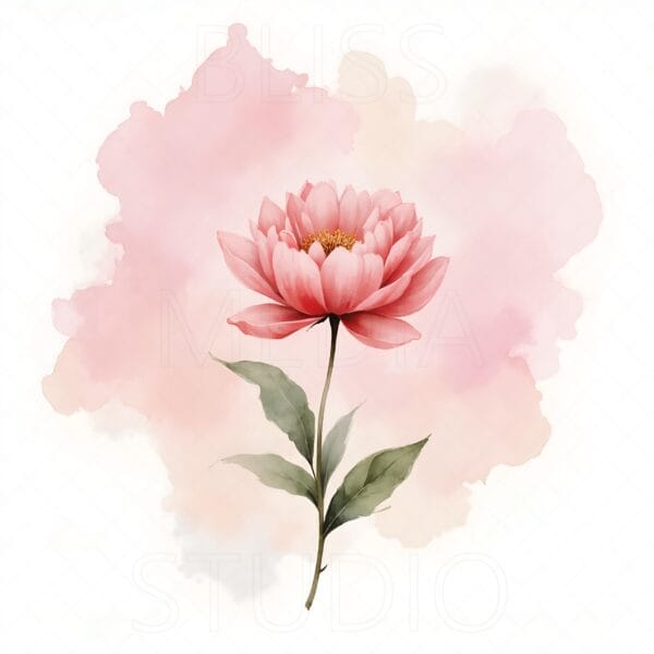 15 Peony Botanical Prints – Chateaucore Wall Art Set (Digital Download) - Image 15