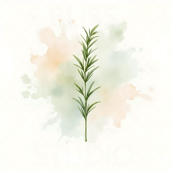 15 Rosemary Botanical Prints – Chateaucore Wall Art Set (Digital Download) - Image 4