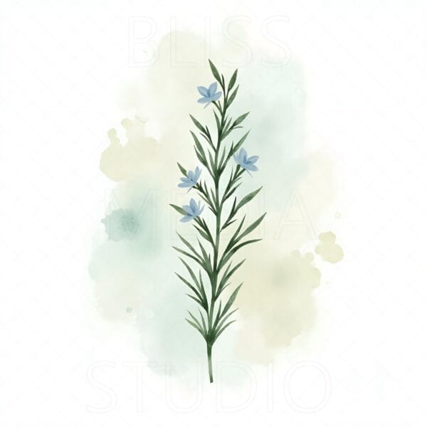 15 Rosemary Botanical Prints – Chateaucore Wall Art Set (Digital Download) - Image 5