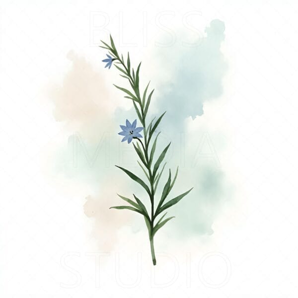 15 Rosemary Botanical Prints – Chateaucore Wall Art Set (Digital Download) - Image 8