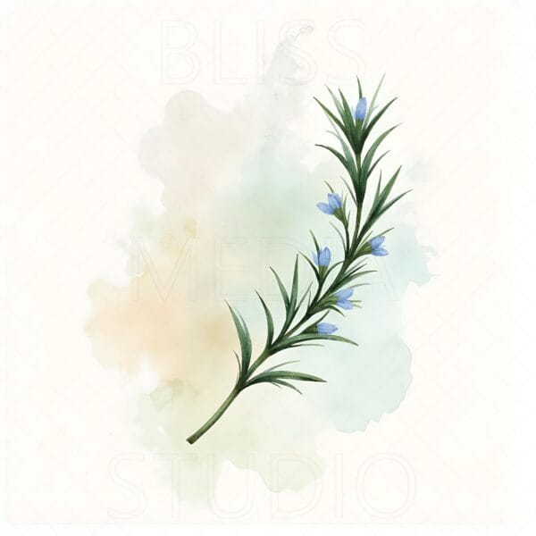 15 Rosemary Botanical Prints – Chateaucore Wall Art Set (Digital Download) - Image 9