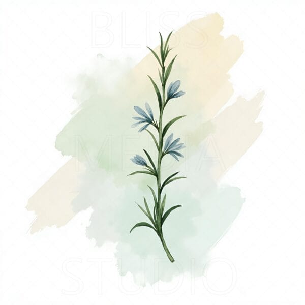 15 Rosemary Botanical Prints – Chateaucore Wall Art Set (Digital Download) - Image 10