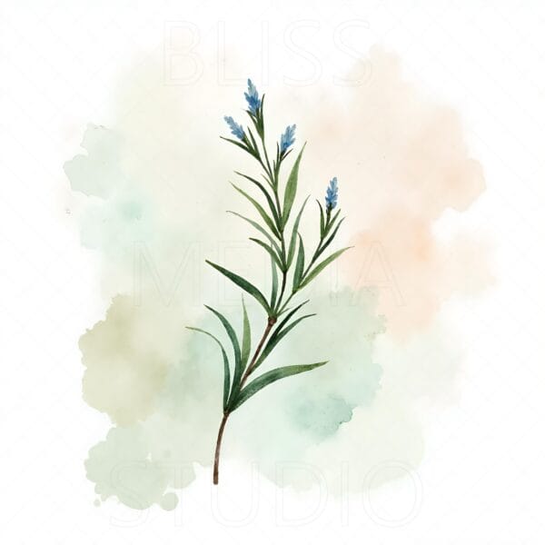 15 Rosemary Botanical Prints – Chateaucore Wall Art Set (Digital Download) - Image 12