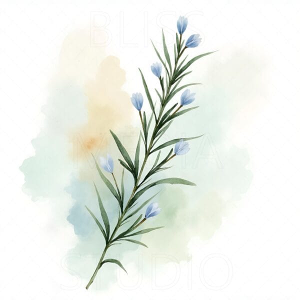 15 Rosemary Botanical Prints – Chateaucore Wall Art Set (Digital Download) - Image 13