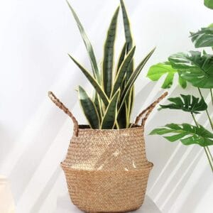 Woven Seagrass Basket – Decorative Storage for Healing Rooms