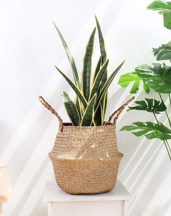 Woven Seagrass Basket – Decorative Storage for Healing Rooms